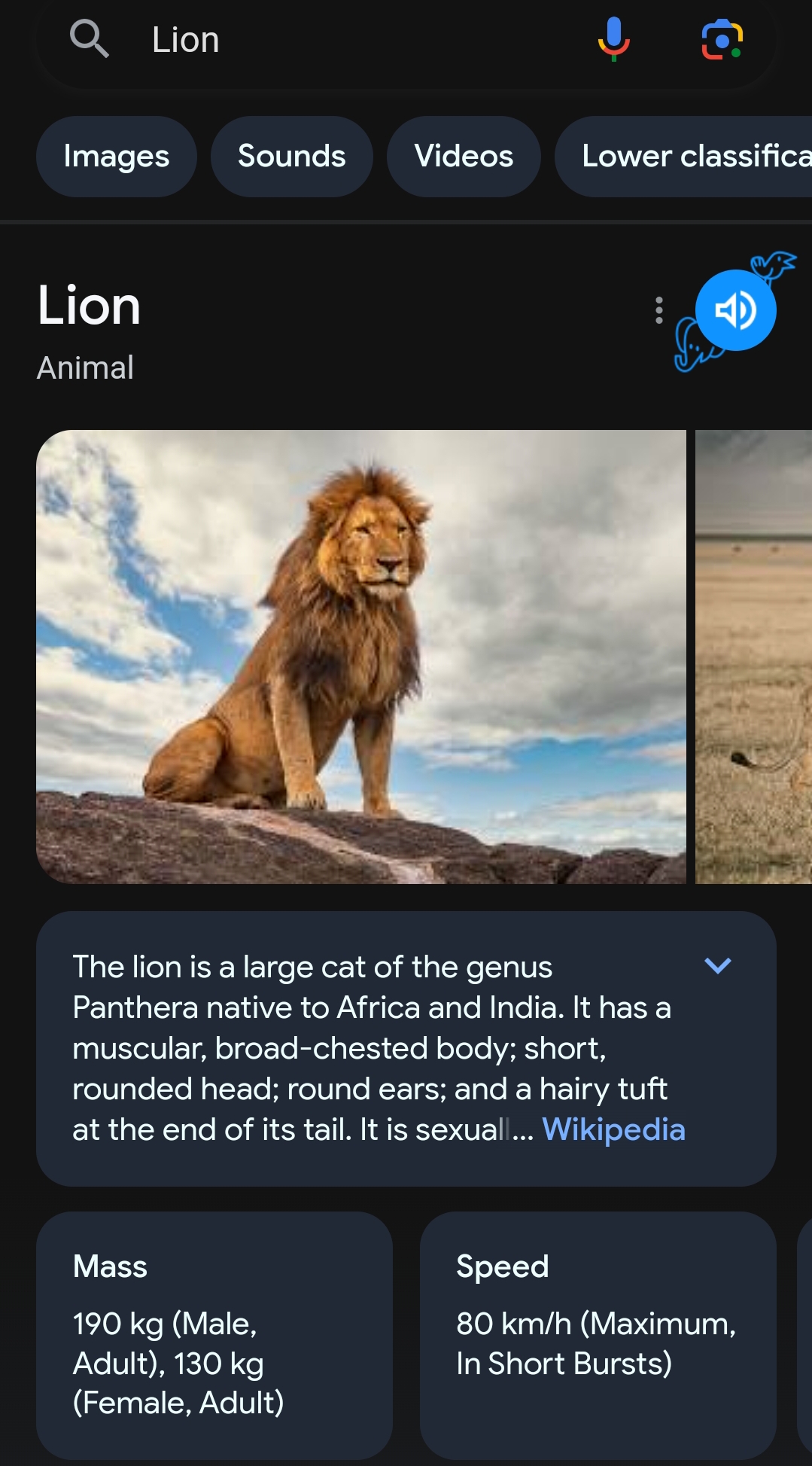 How Google Knowledge Panel looks on mobile - Tundenny Blog 